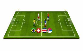 开云官网注册-世界青少年冰壶锦标赛中国队奋勇争先，中国青少年冰壶公开赛冠军