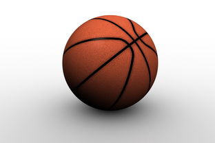 开云体育app-中国篮球职业俱乐部青训人才培养路径探索，篮球青训队招聘条件