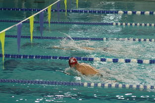 开云全站-全国青少年游泳锦标赛青春风采尽展，全国青少年游泳比赛成绩